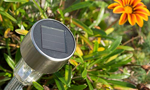 LumaPath Solarne Lampe 10kom.